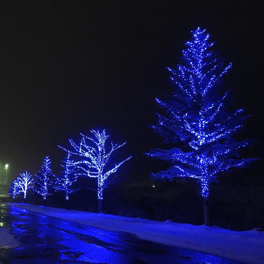Naeba La Neige Hotel Yuzawa  Exterior photo